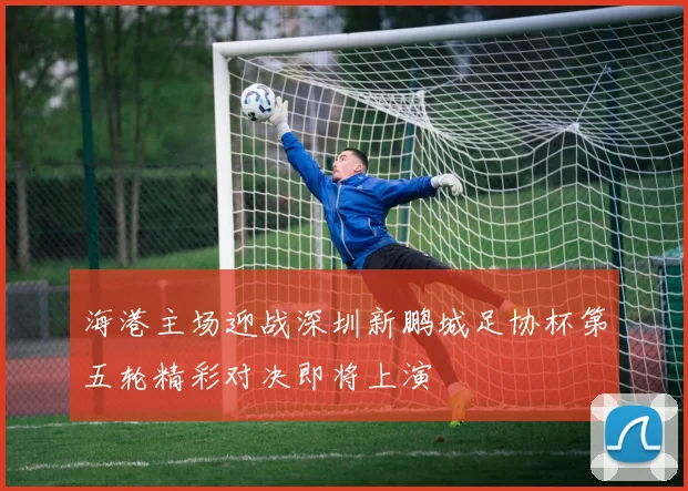 海港主场迎战深圳新鹏城足协杯第五轮精彩对决即将上演